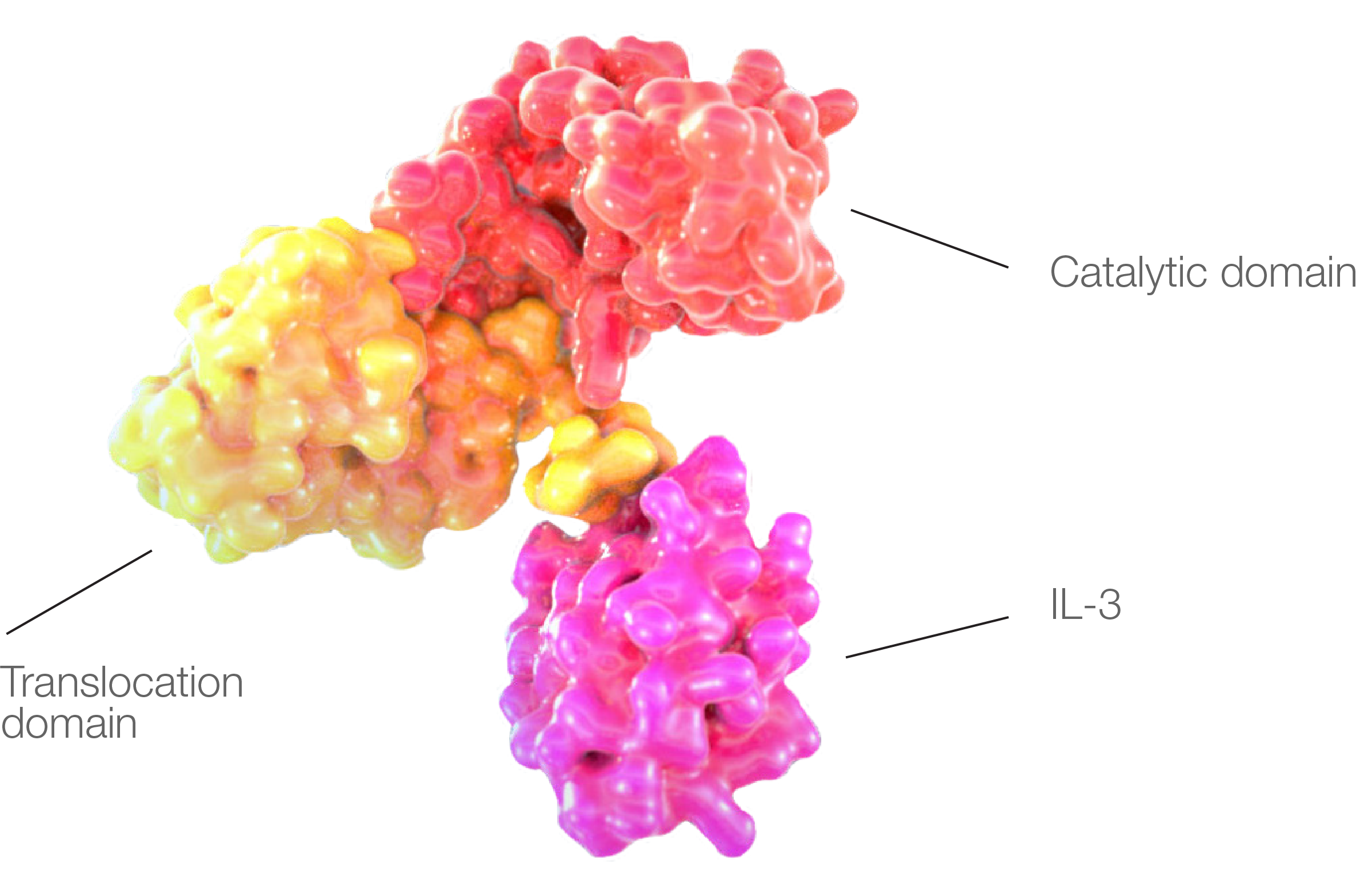 Blastic plasmacytoid dendritic cell neoplasm